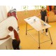 MESA MUVIT ALTA CON RUEDAS.3 ( F5 )
